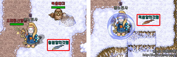 청원앙의깃털, 적원앙의깃털