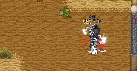 000011.gif?type=w740