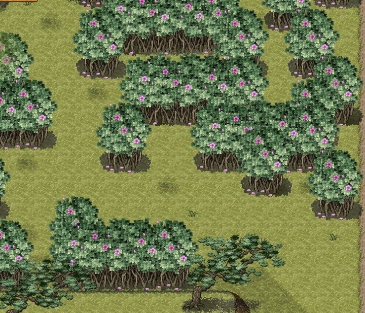 %B0%ED%B1%B8%B7%C1_%C1%E3%B1%BC%C5%EB%B7