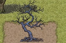 %B1%AB%C0%AF_%B0%ED%B1%B8%B7%C1_%BA%AD%B