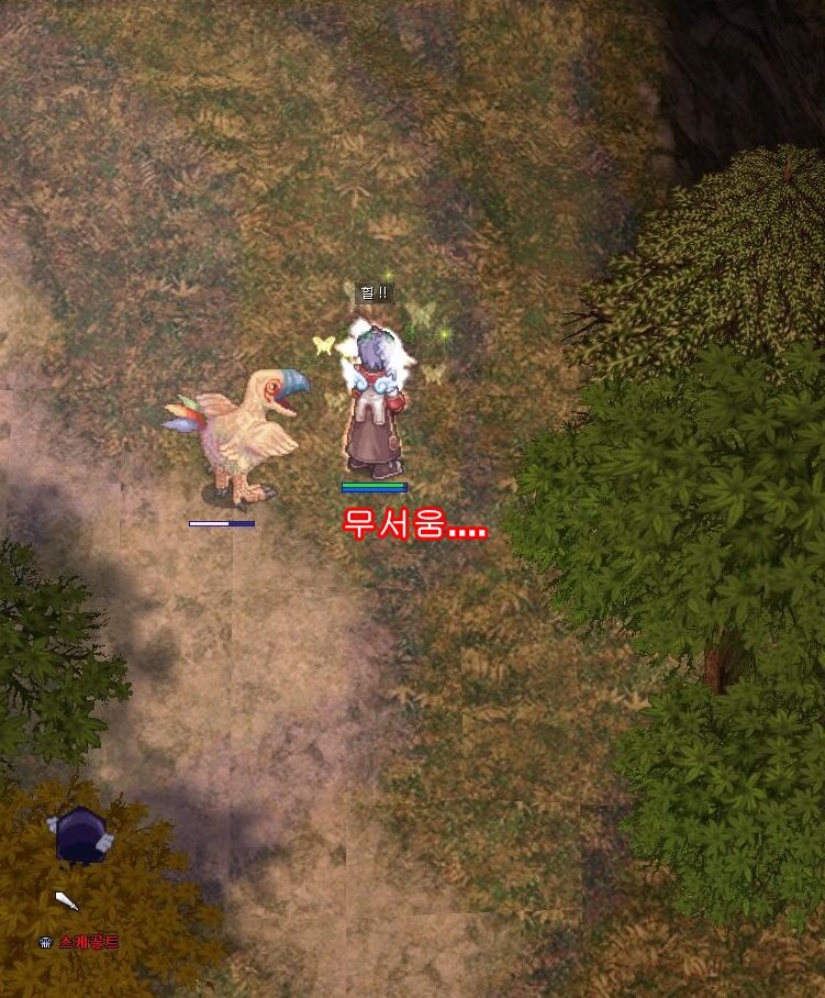 원본 크기로 보시려면 그림을 클릭하세요.