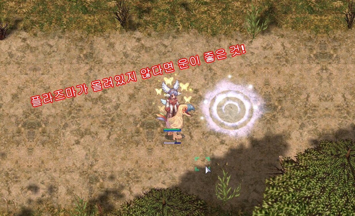 원본 크기로 보시려면 그림을 클릭하세요.