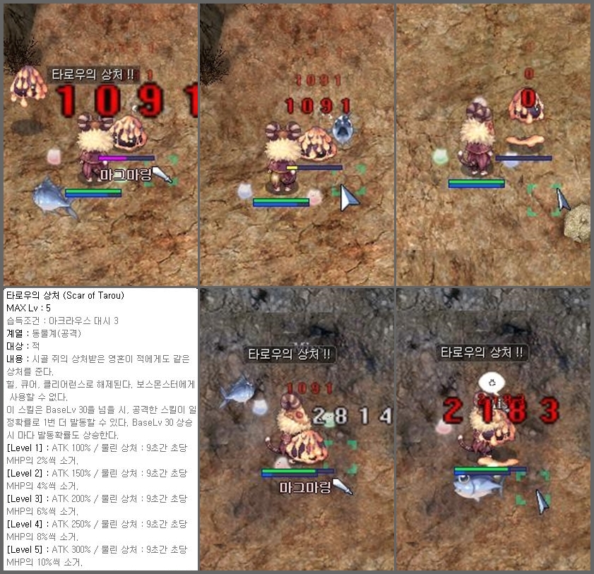 원본 크기로 보시려면 그림을 클릭하세요.