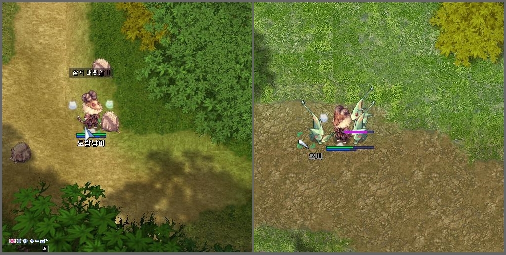 원본 크기로 보시려면 그림을 클릭하세요.