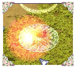 24445D50539C5508049AE4