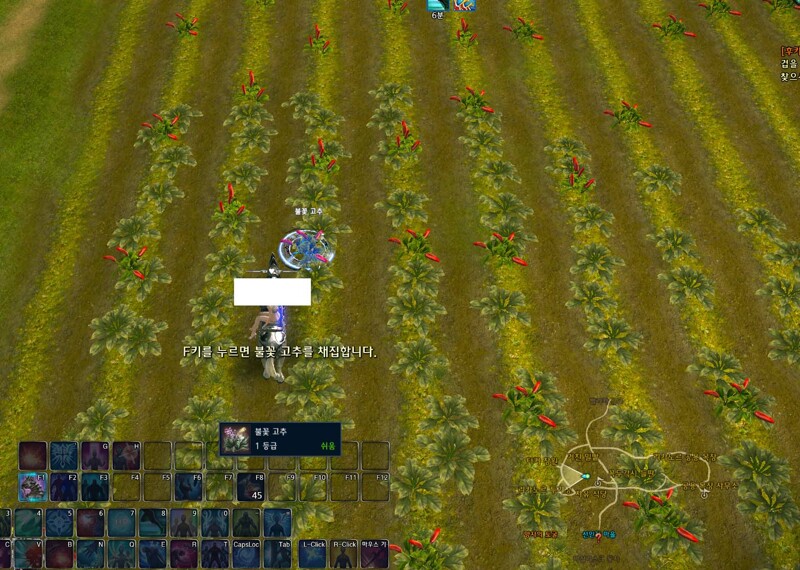 i2468187313.jpg?MW=800