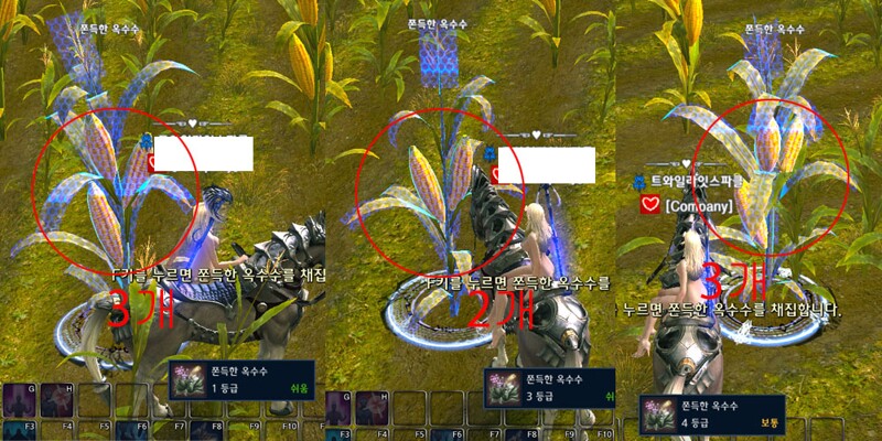 i2153454588.jpg?MW=800