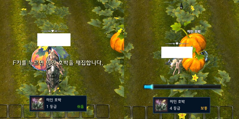 i0342514826.jpg?MW=800