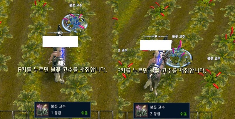 i0656512738.jpg?MW=800