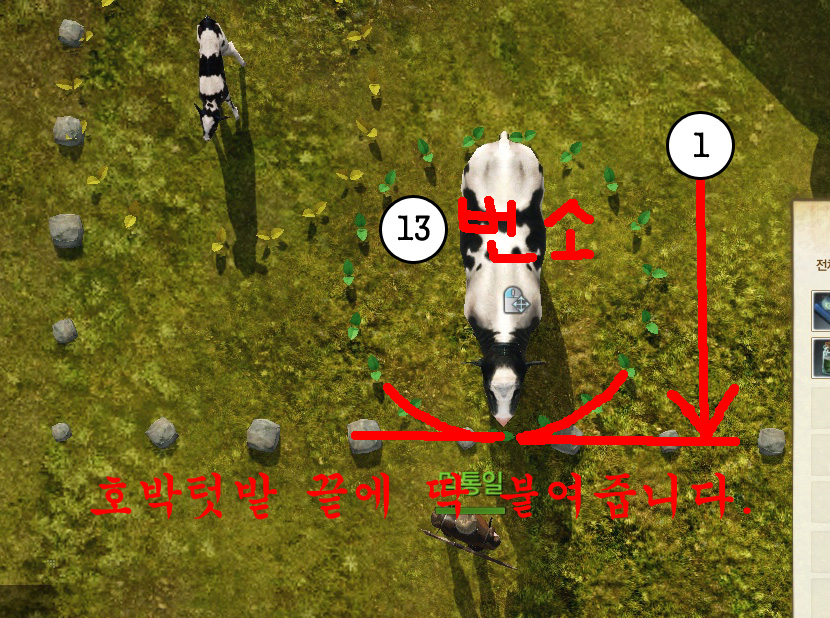 원본 크기로 보시려면 그림을 클릭하세요.