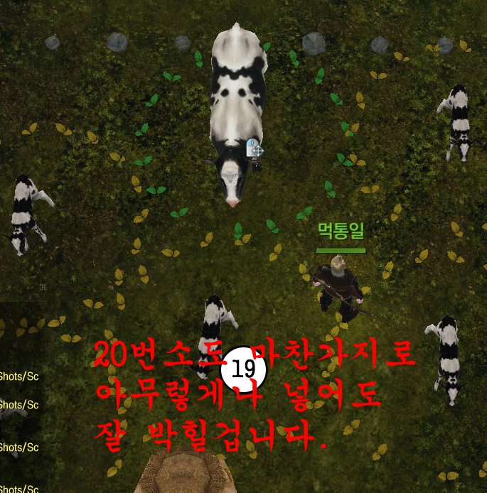 원본 크기로 보시려면 그림을 클릭하세요.