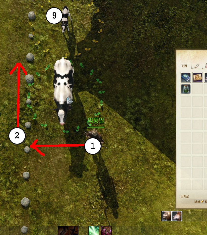 원본 크기로 보시려면 그림을 클릭하세요.