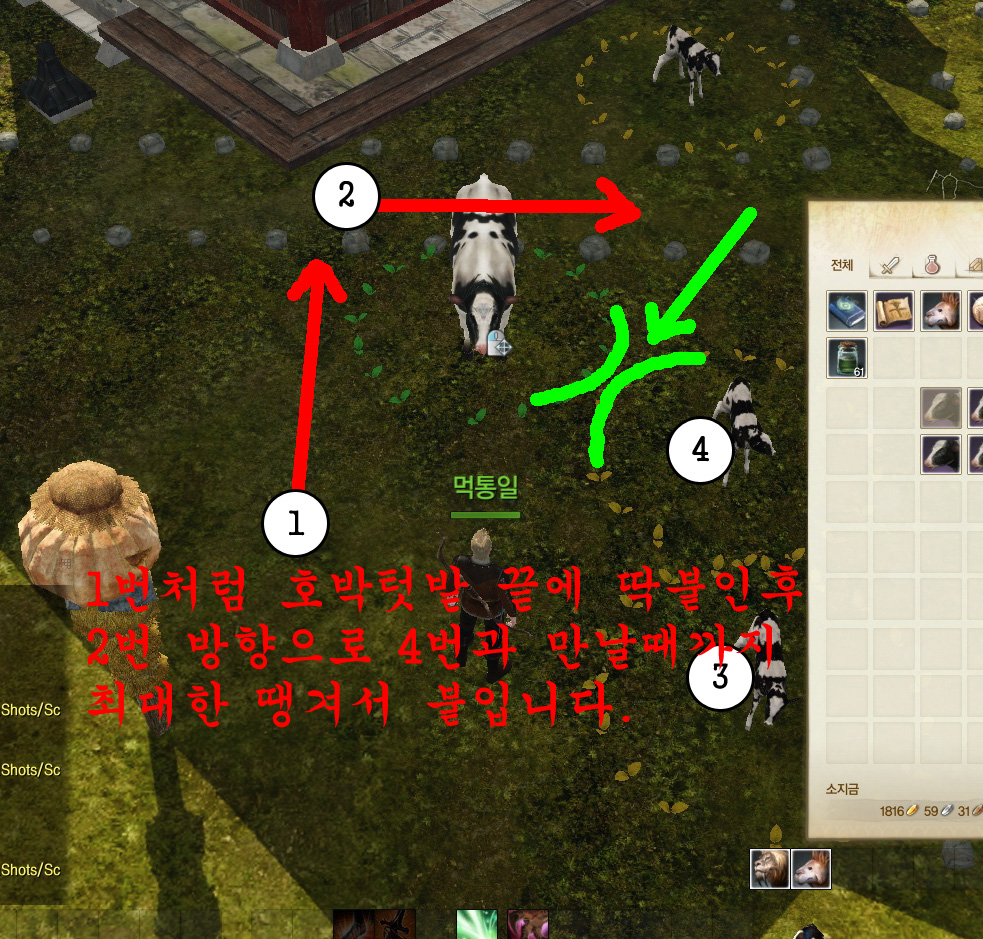 원본 크기로 보시려면 그림을 클릭하세요.