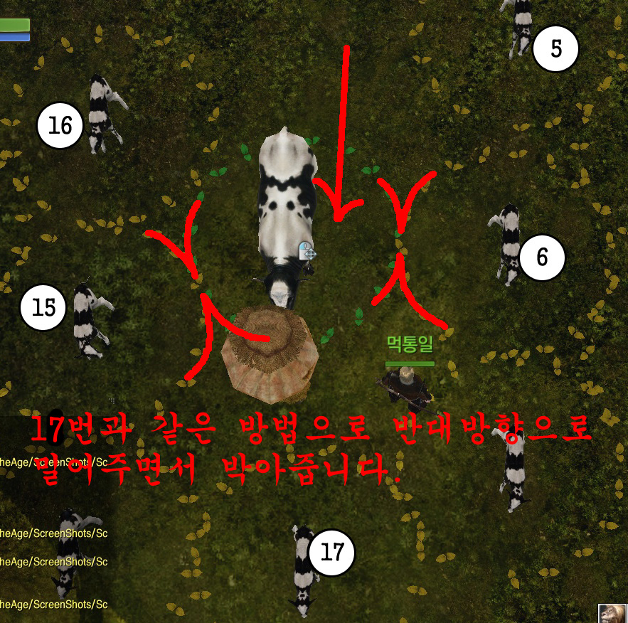 원본 크기로 보시려면 그림을 클릭하세요.