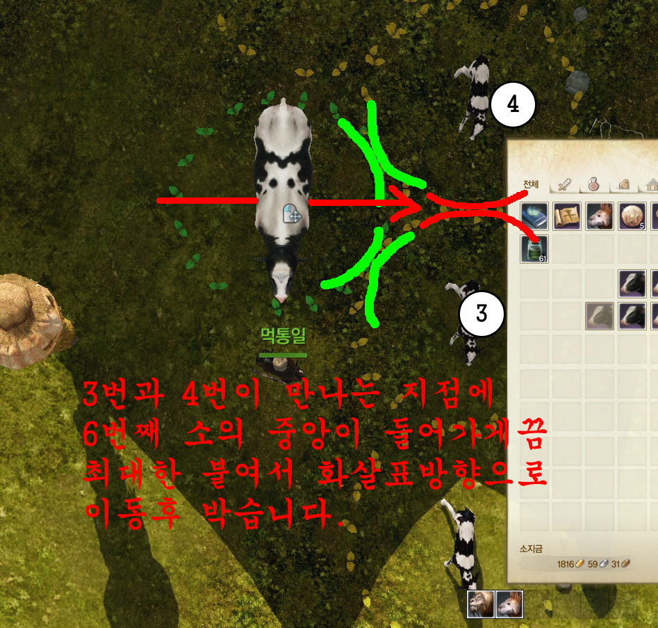 원본 크기로 보시려면 그림을 클릭하세요.