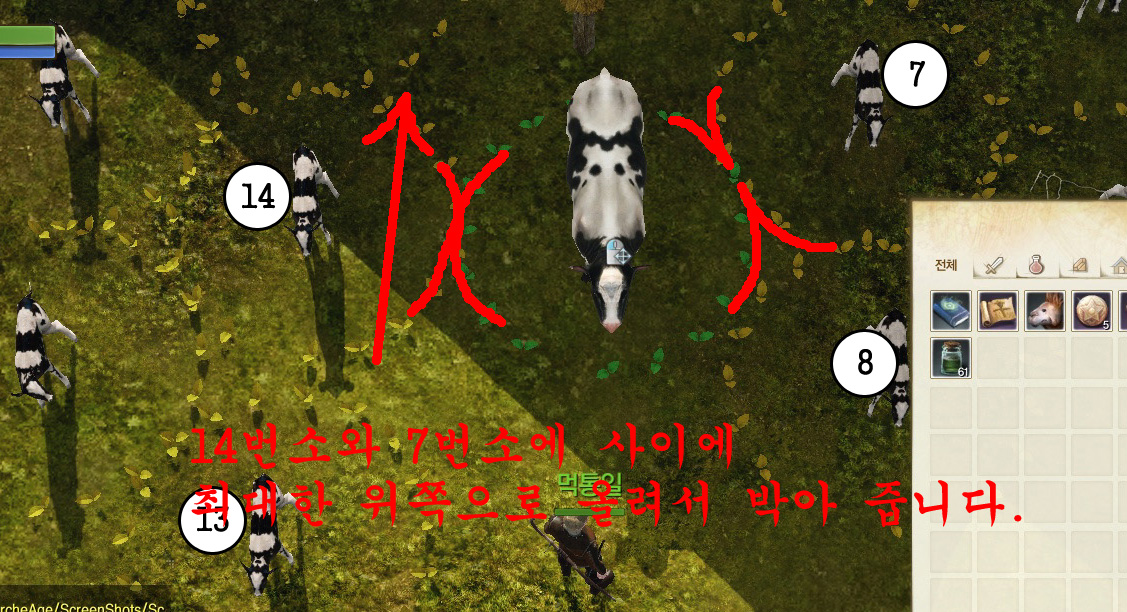 원본 크기로 보시려면 그림을 클릭하세요.