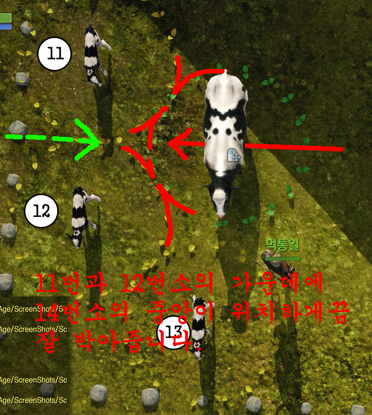 원본 크기로 보시려면 그림을 클릭하세요.