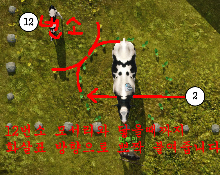 원본 크기로 보시려면 그림을 클릭하세요.