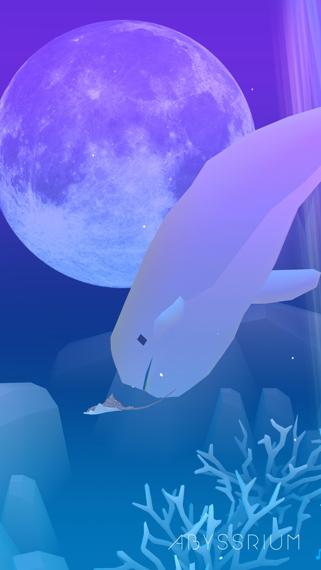 264F563C57E955BB0E5FEC