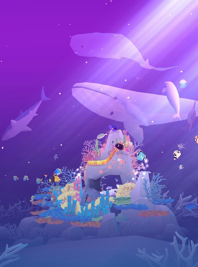 2632AE3657E955EA1BA6E5