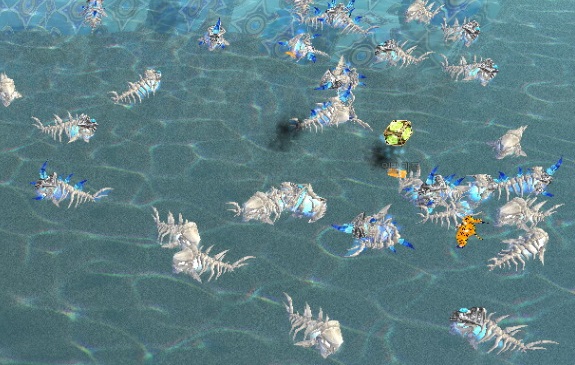 뼈물고기 무한젠.jpg