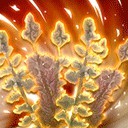 2342EF4F567A149B18327E