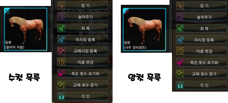 원본 크기로 보시려면 그림을 클릭하세요.