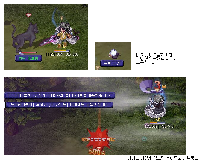 13216E40501A3A2B344C81