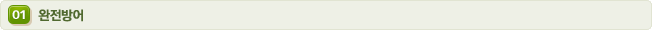 01 완전방어