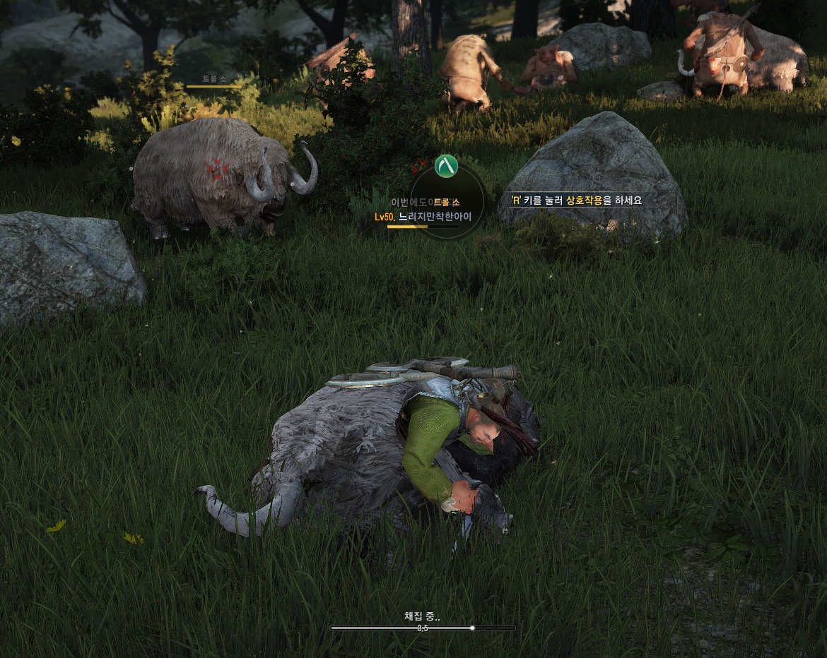 원본 크기로 보시려면 그림을 클릭하세요.