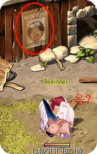 [미니게임]돼지몰기 게임!