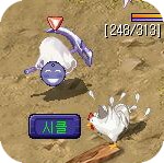 [미니게임]돼지몰기 게임!