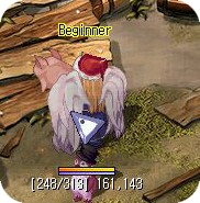 [미니게임]돼지몰기 게임!