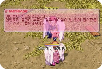 [미니게임]돼지몰기 게임!