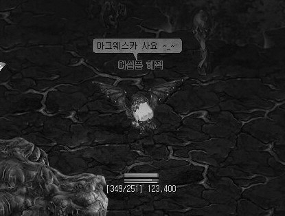 베리마녀, 도로시! - 베리나무 재배법 下