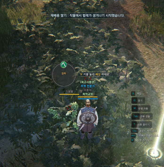 원본 크기로 보시려면 그림을 클릭하세요.