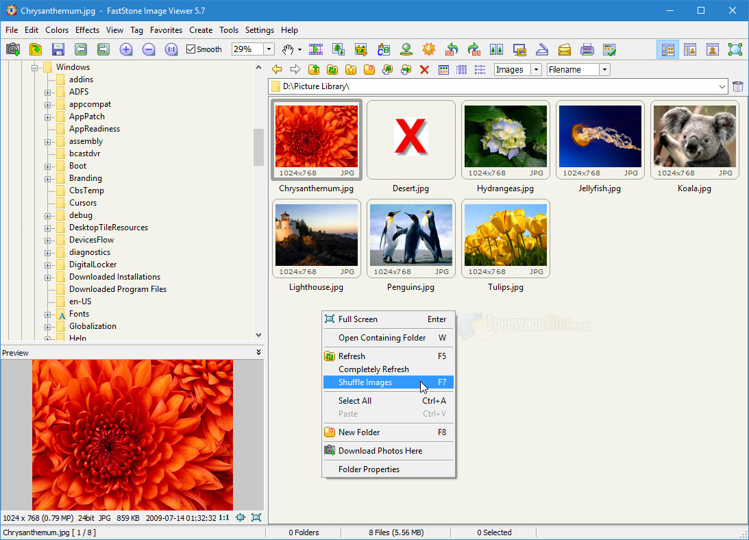 Screenshot for: FastStone Image Viewer Portable 7.5