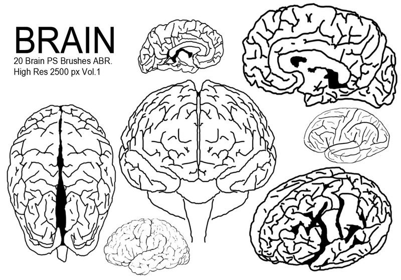 20 Brain PS Brushes ABR. Vol.1 Photoshop brush